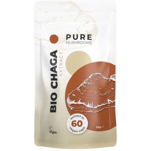 Pure Mushrooms Chaga Capsules Paddenstoel Extract BIO 60 Stuks Pure