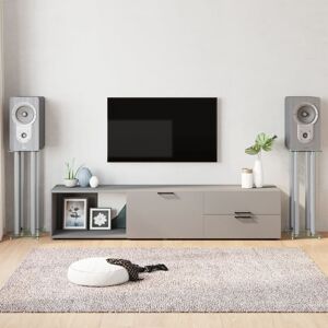 vidaXL Luidsprekerstandaards 2 st 4 pijlers gehard glas zilverkleurig vidaXL