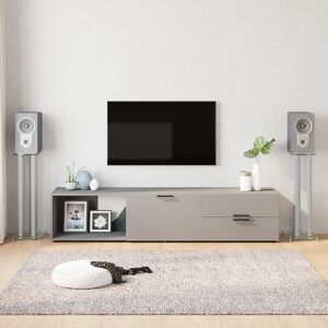vidaXL Luidsprekerstandaards 2 st 3 pijlers gehard glas zilverkleurig vidaXL