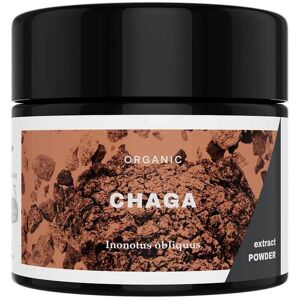 KÄÄPÄ Mushrooms Chaga Extract Poeder BIO 30g KÄÄPÄ Mushrooms